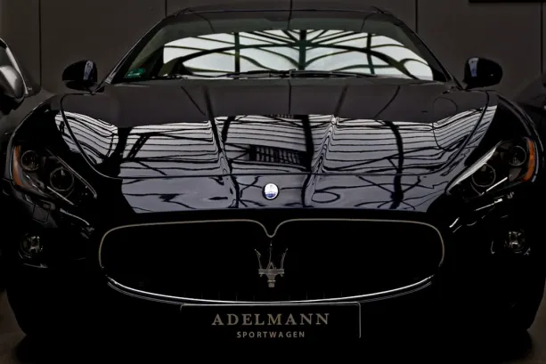 BingoFling Casino Application Android/iOS